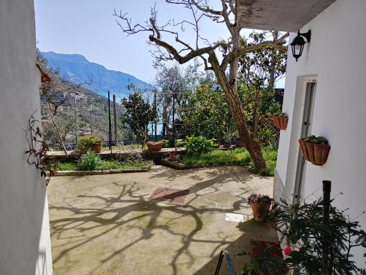 Amalfi Coast, Positano, Sorrento, Capri, Garden, Villa Carcara Colli di Fontanelle Extérieur photo