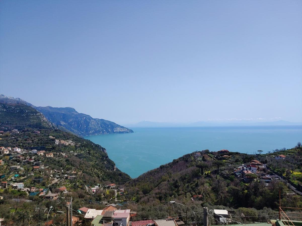 Amalfi Coast, Positano, Sorrento, Capri, Garden, Villa Carcara Colli di Fontanelle Extérieur photo