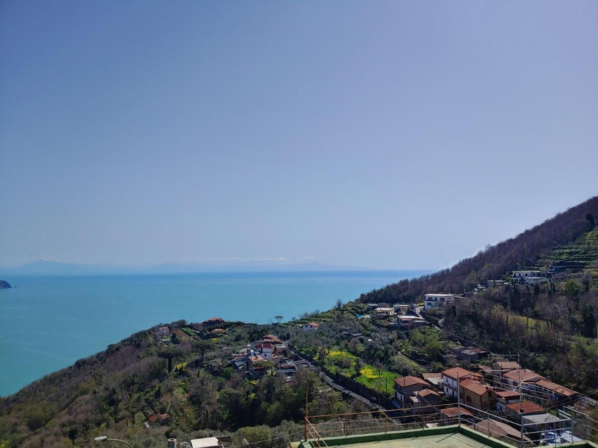 Amalfi Coast, Positano, Sorrento, Capri, Garden, Villa Carcara Colli di Fontanelle Extérieur photo