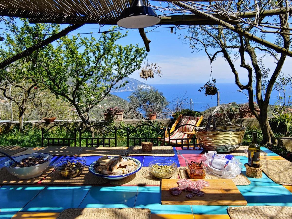Amalfi Coast, Positano, Sorrento, Capri, Garden, Villa Carcara Colli di Fontanelle Extérieur photo