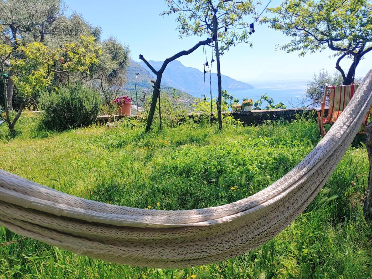 Amalfi Coast, Positano, Sorrento, Capri, Garden, Villa Carcara Colli di Fontanelle Extérieur photo