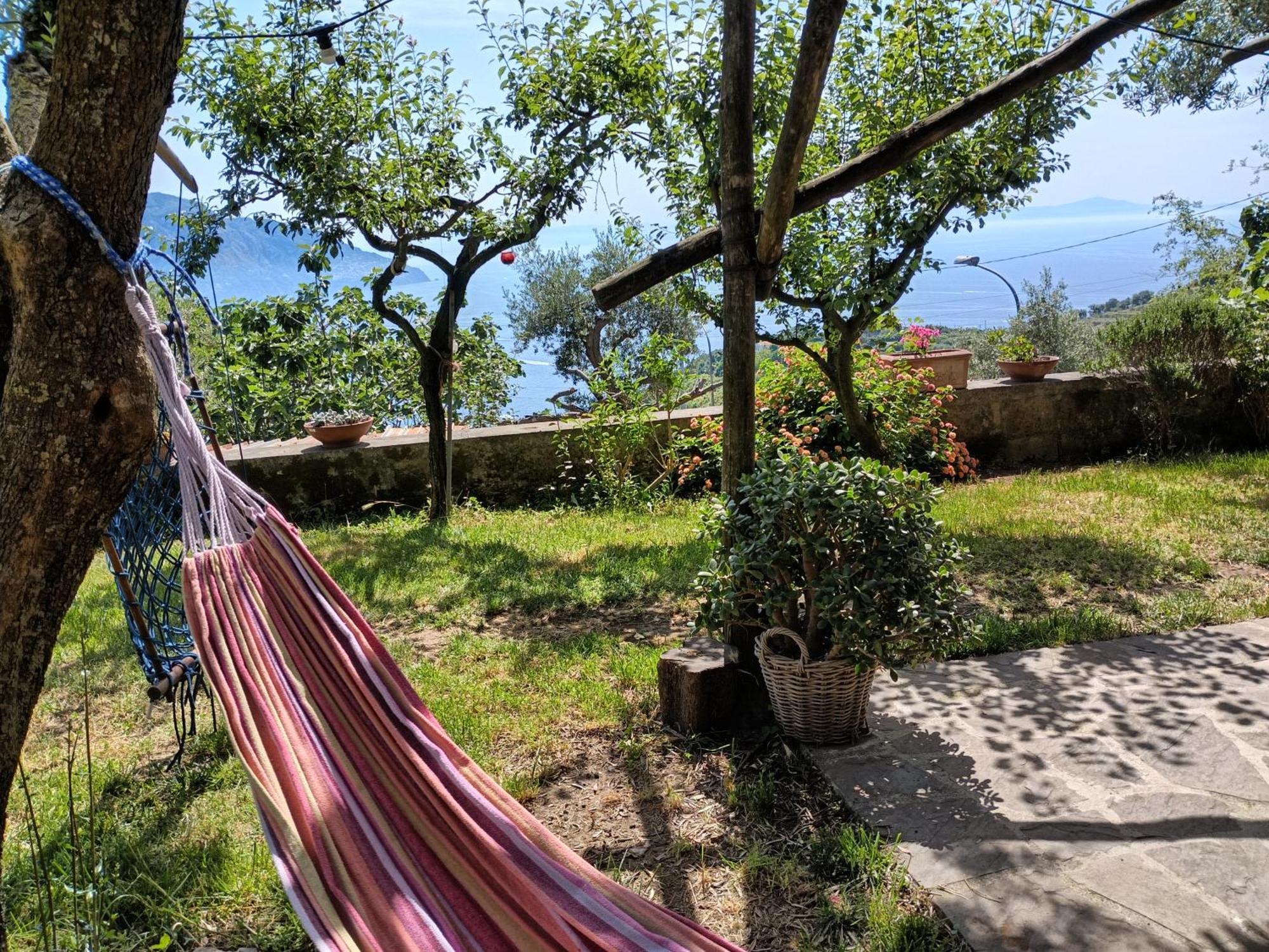 Amalfi Coast, Positano, Sorrento, Capri, Garden, Villa Carcara Colli di Fontanelle Extérieur photo