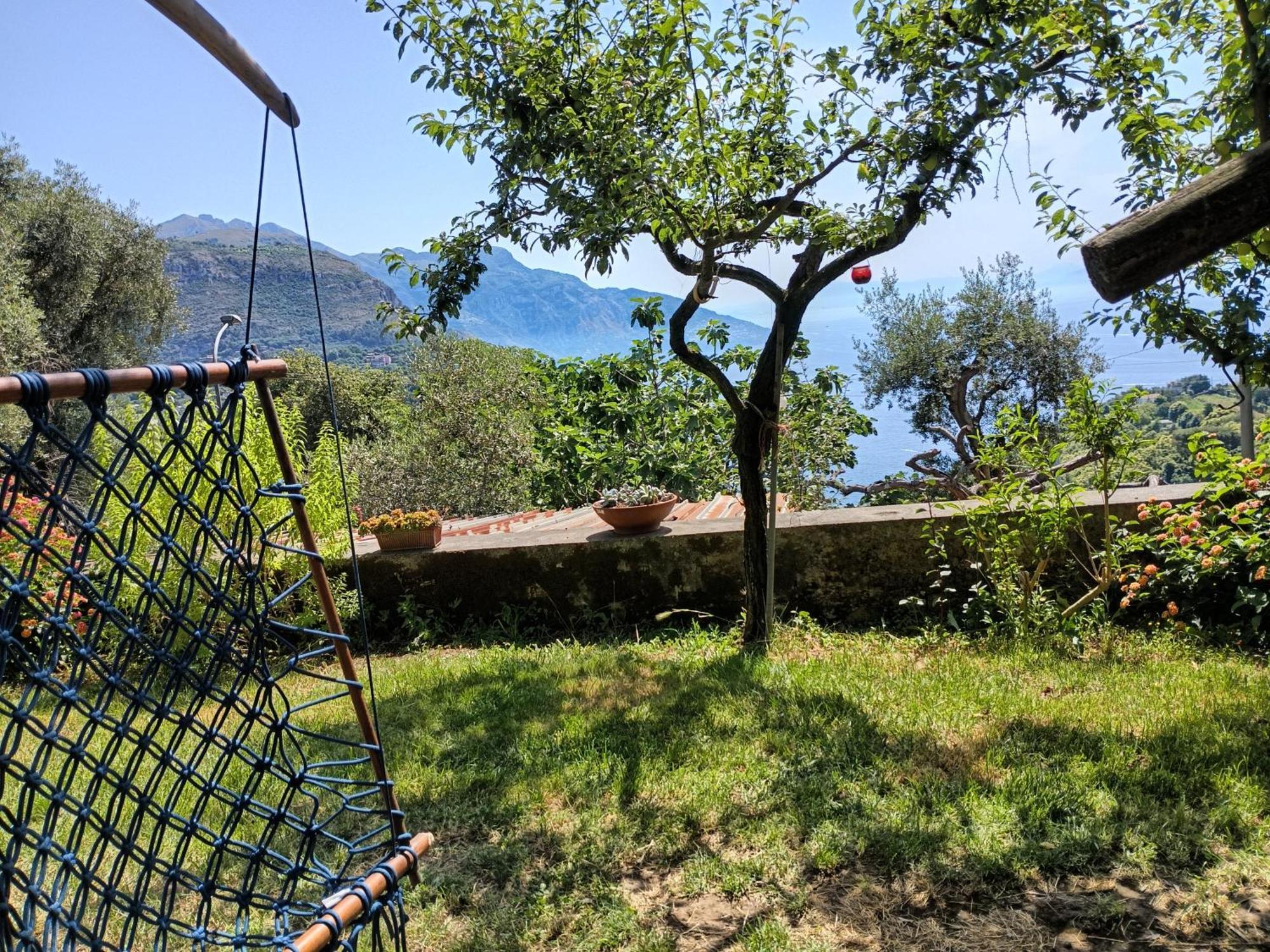 Amalfi Coast, Positano, Sorrento, Capri, Garden, Villa Carcara Colli di Fontanelle Extérieur photo